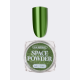 NR Втирка SPACE POWDER №9 (0,2 гр)