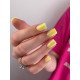 NR Wow gel №224 (15 гр)
